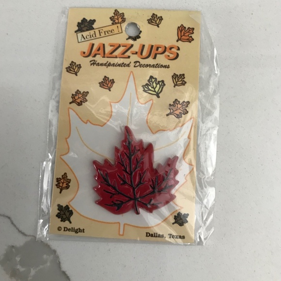 Hand Painted Jazz Up Craft Embellishments Turkey Pumpkin Maple Leaf 3 Pieces - Picture 5 of 6